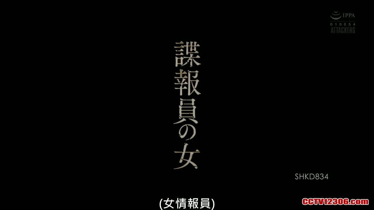 SHKD834中文字幕纯净版波多野結衣諜報員の女 new